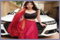 Sherlyn Chopra - Bio, Age, Wiki, Facts and Family